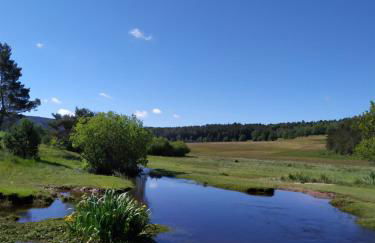 La maison D'Orée - Foto 52