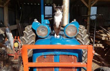 Welshhomestead - Foto 13