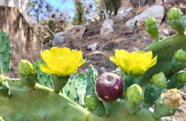 Astrolabon - Foto 10