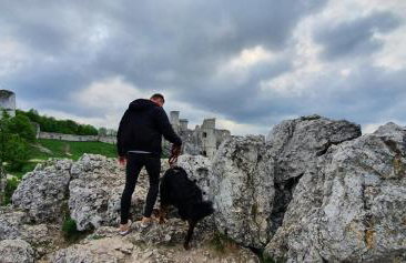 Skalny Widok - Foto 58