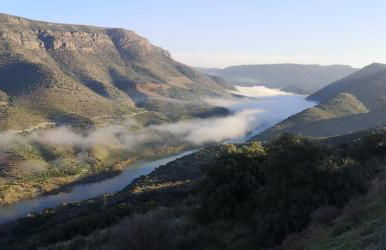 El Abigero II - Foto 24