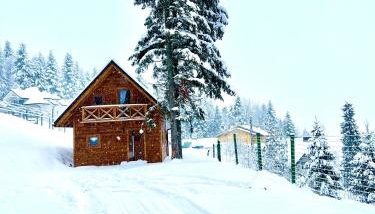 Leśny Domek - Foto 2