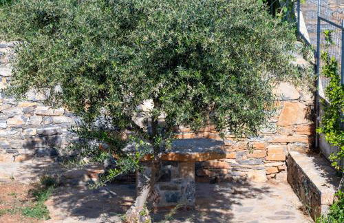 Blue Cove Zen - Foto 14