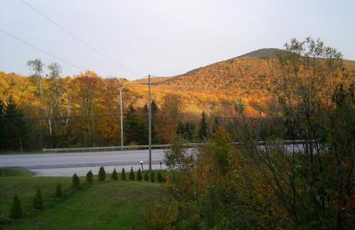 Green Mountain Cabins - Foto 24