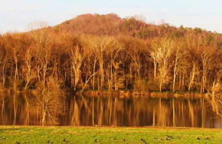 Little River Guest House at Tennessee RiverPlace - Foto 64