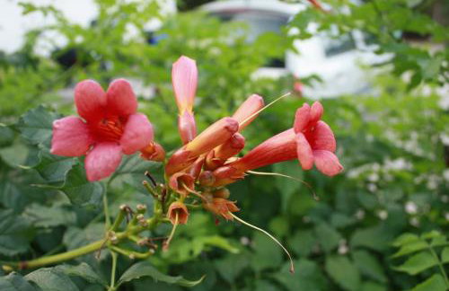 Toni i Kristina - Photo 3