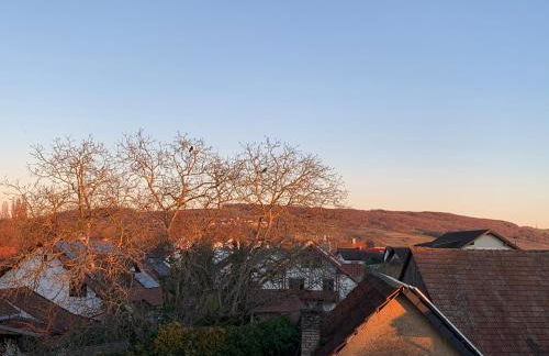 Ferienwohnung Baselblick, Eimeldingen - Foto 14