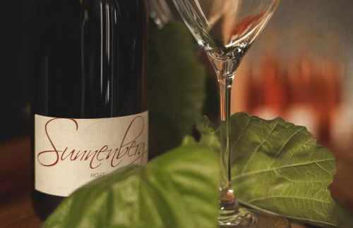 Niedermaierhof - Foto 9