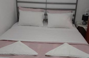 ΠΗΛΙΟ- ΤΟ ΕΞΟΧΙΚΟ ΤΗΣ ΑΝΝΑΣ- ΑΦΗΣΣΟΣ - Photo 50