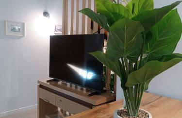 Apartamentos turisticos Ávila Puerta del Rastro 2-2 - Foto 6