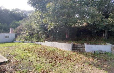 Vv Casa Milele - Foto 17