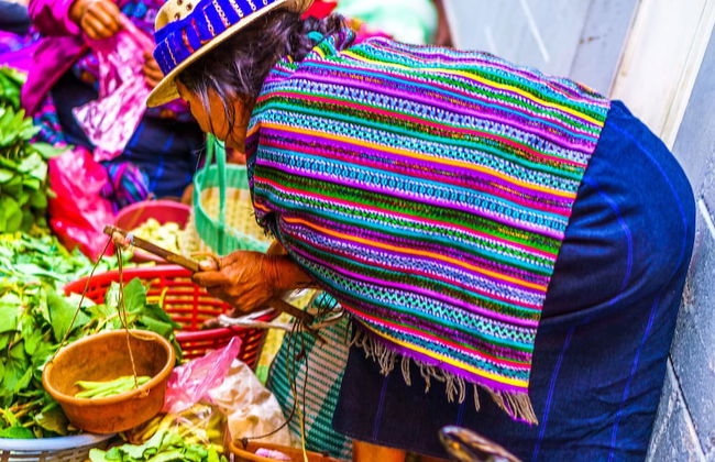 Casa Paxanax - Foto 19