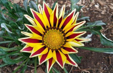 Holiday house "Dolka" - Photo 14