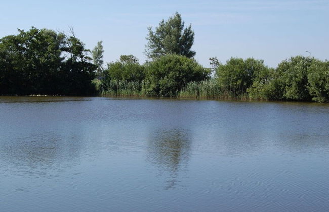 Korell 2 Modern Retreat - Foto 12