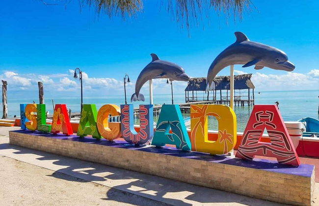 Giro in barca sulla laguna di Términos - Foto 4