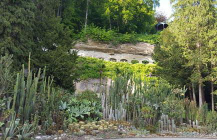 Ferienwohnung am Waldrand - Foto 22