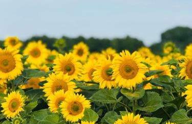 Apartament Jerzyn - Foto 37