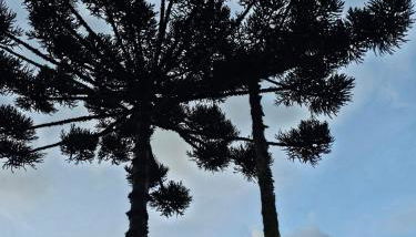 Recanto Lavi - Photo 4