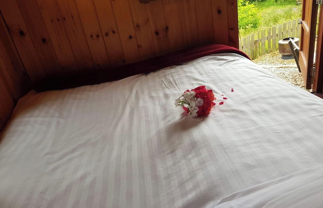 Eco Accommodation Cornflower Holiday - Foto 3