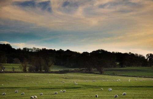 The Old Workshop, Corbridge - Foto 54