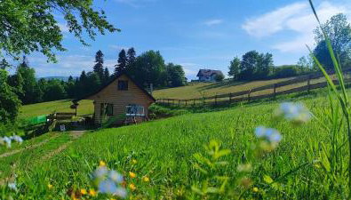 Chata DUDZIAKÓWKA - Foto 4, Garden