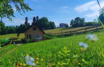 Chata DUDZIAKÓWKA - Foto 4