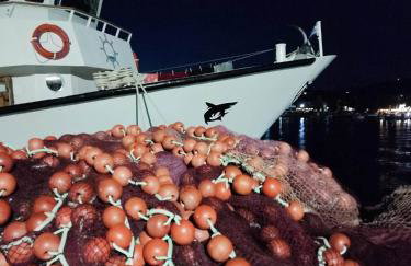 Seagulls - Within walking distance from sea! - Foto 62
