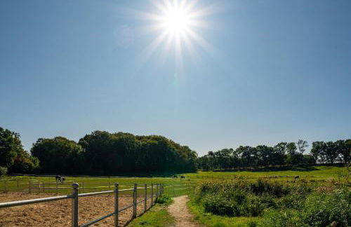 Ferien und Pferdehof Gut Klein Nienhagen - Foto 22