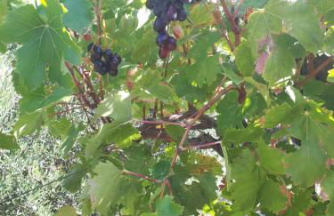 Villa Irini - Cretan Luxury Villa with Amazing View - Foto 48