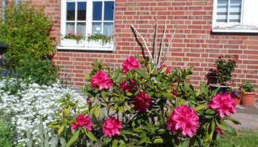 Lütt Verbliev - Foto 3