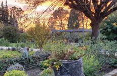 Mas des Mûriers - Foto 23