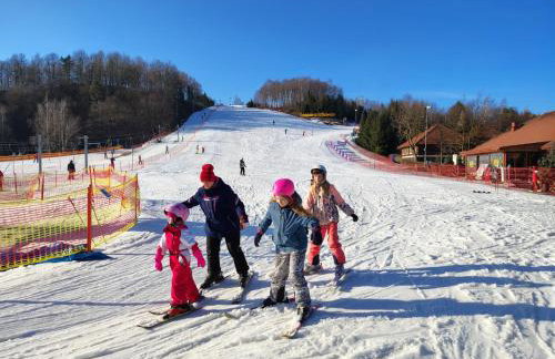Lawendowy Domek agroturystyka, noclegi - 2,7 km od Bałtowa - Foto 20
