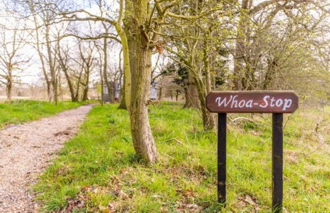 Host Stay Whoa Stop - Foto 6