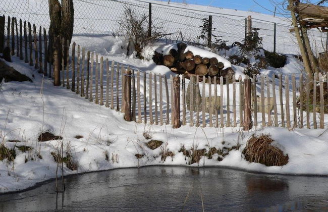 Quiet Holiday Home With Terrace - Foto 23