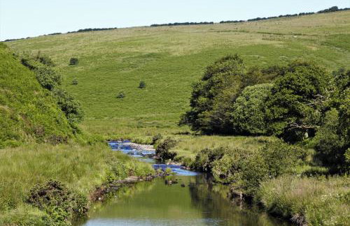 Lowerbourne House Studio - Foto 9