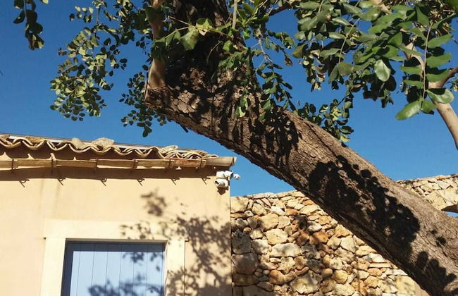 TerraMater - Foto 25