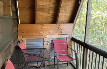 Bearly Behavin - Foto 41