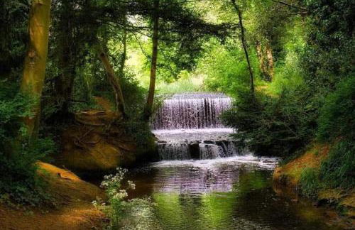 Billing Aquadrome - Alberta Caravan 2 Bedroom Sleep 6 - Photo 41