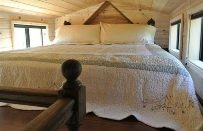 Coral Tree House - Foto 4