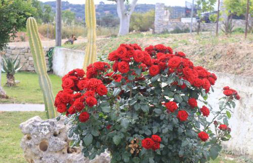 Villa Stefania Dream - Photo 46