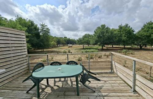 Cottage Rembrandt - Foto 8