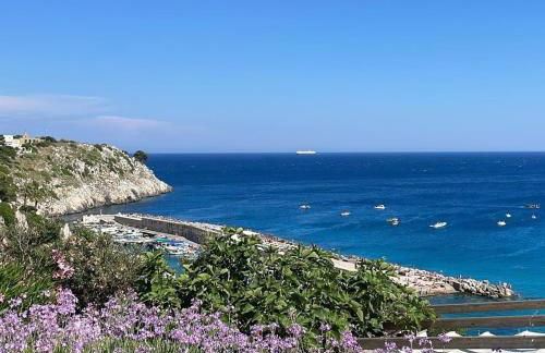 Villa Verde Salento - Foto 44