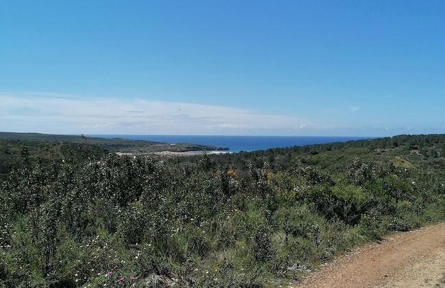 The Farm, Maria Serrao Aljezur - Foto 9