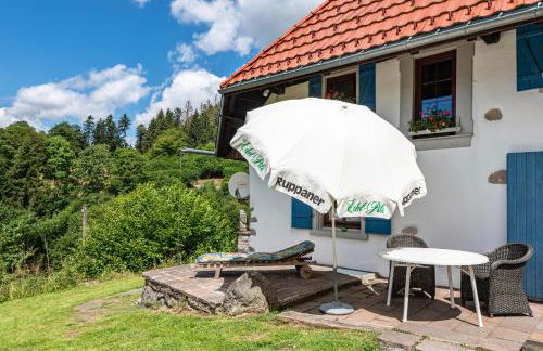 Ferien Alm Alfret - Foto 40