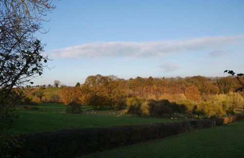 Natures Edge Cabin - Photo 49