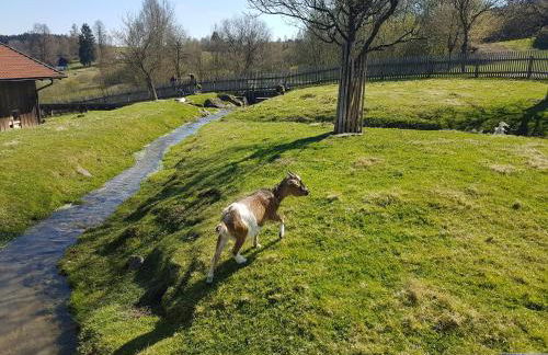 Ferienwohnung Bergpanorama mit Pool - Foto 36