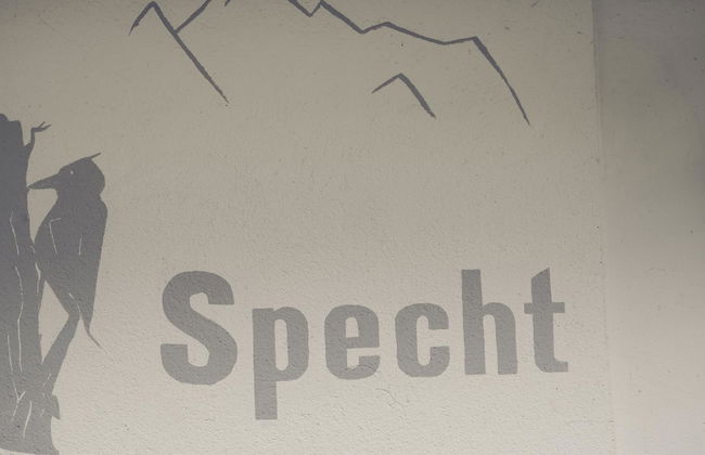 Chalet Specht - Foto 2