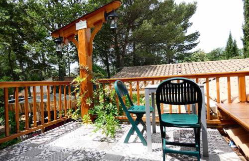Casacoquelicot Un jardin sud-américain en Provence - Photo 5