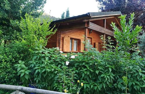 Cabañas los Pinos Arroyo Frio - Foto 56