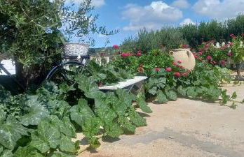 Casa tra i Trulli - Foto 22